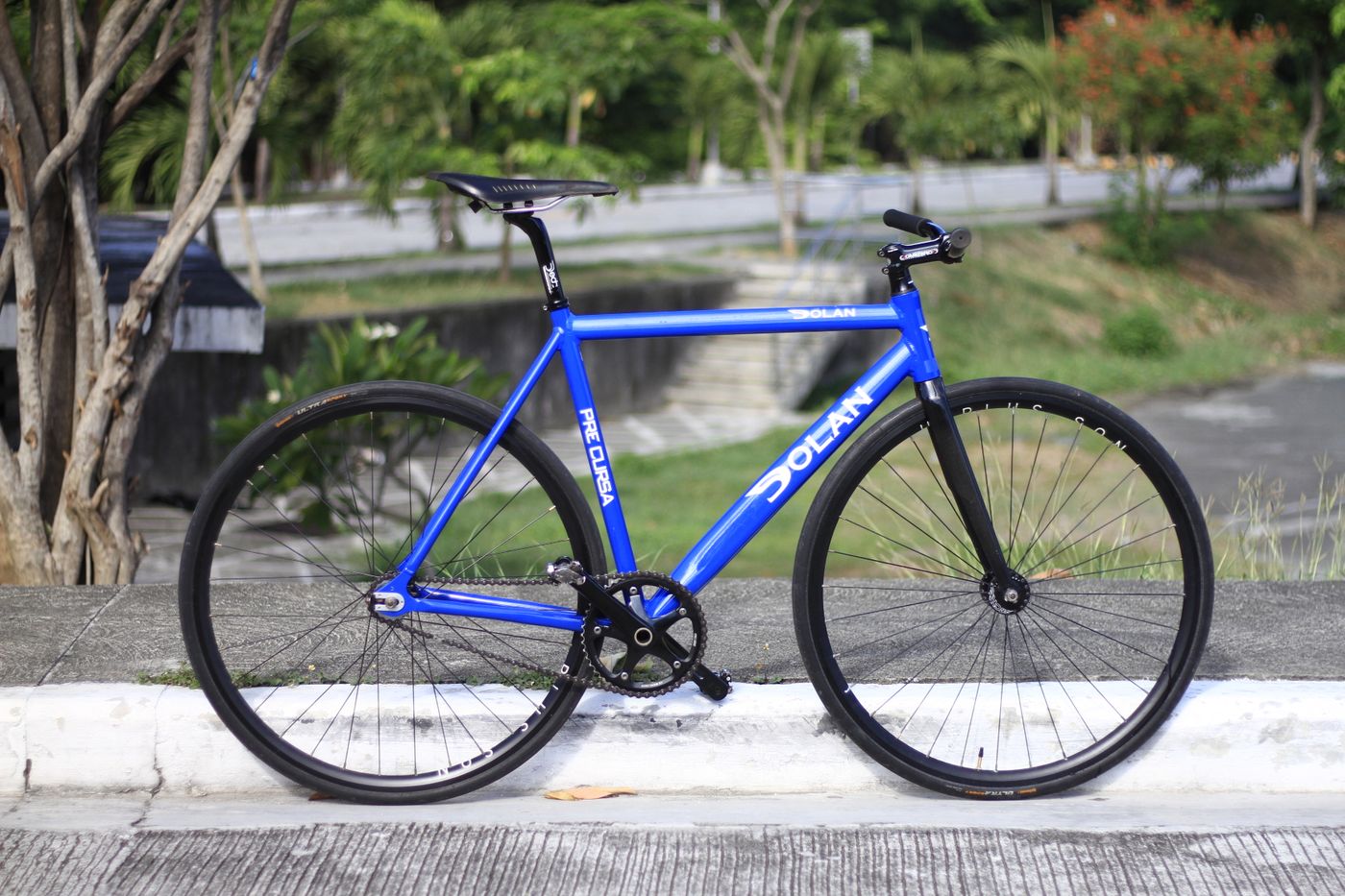 Blaues sportliches Fahrrad an einem Weg im Grünen